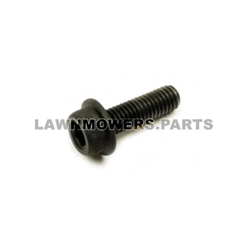lawnmowers-1202607020957211159362