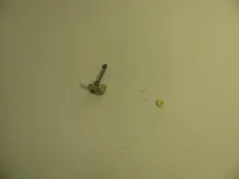 sepw-1202607020934121152748